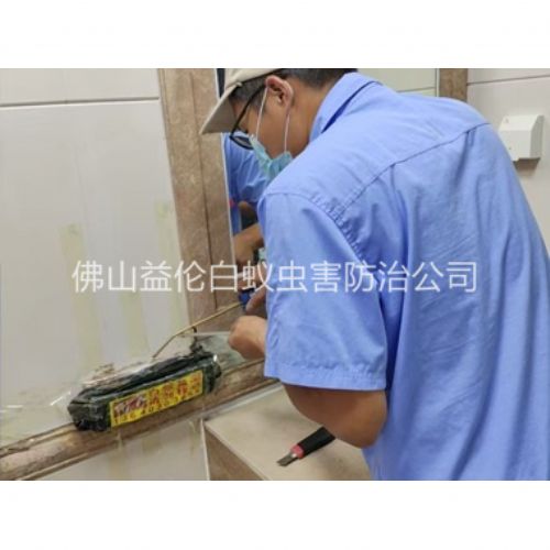 盐步诱杀箱施药灭杀白蚁工程