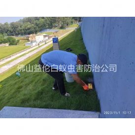 罗村堤坝鼠害防治工程